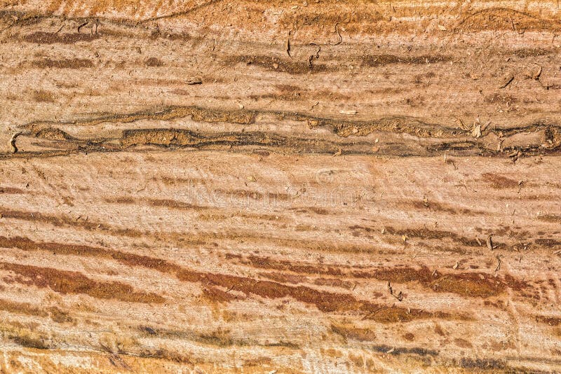 Freshly wood cut texture with sawdust stock photos