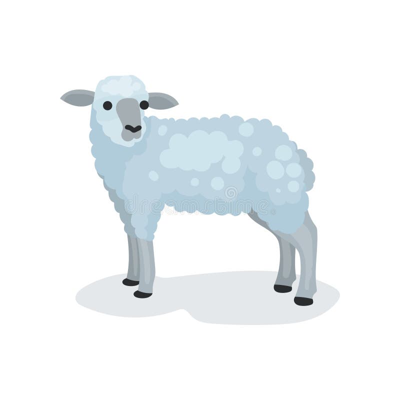 Flat vector icon of cute gray lamb. Small domestic sheep. Biblical and Christian sacrificial animal. Religious symbol royalty free illustration Flat vector icon of cute gray lamb. Small domestic sheep. Biblical and Christian sacrificial animal. Religious symbol royalty free illustration