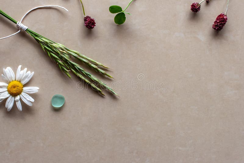 Download Yellow Flower In Bottle Top View On A Red Background Stock Image Image Of Inflorescence Bloom 46574311 Yellowimages Mockups