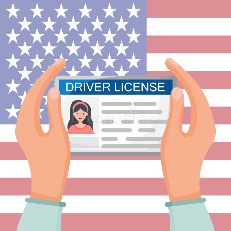 Vector template of sample driver license plastic card for USA Massachusetts  Stock Vector