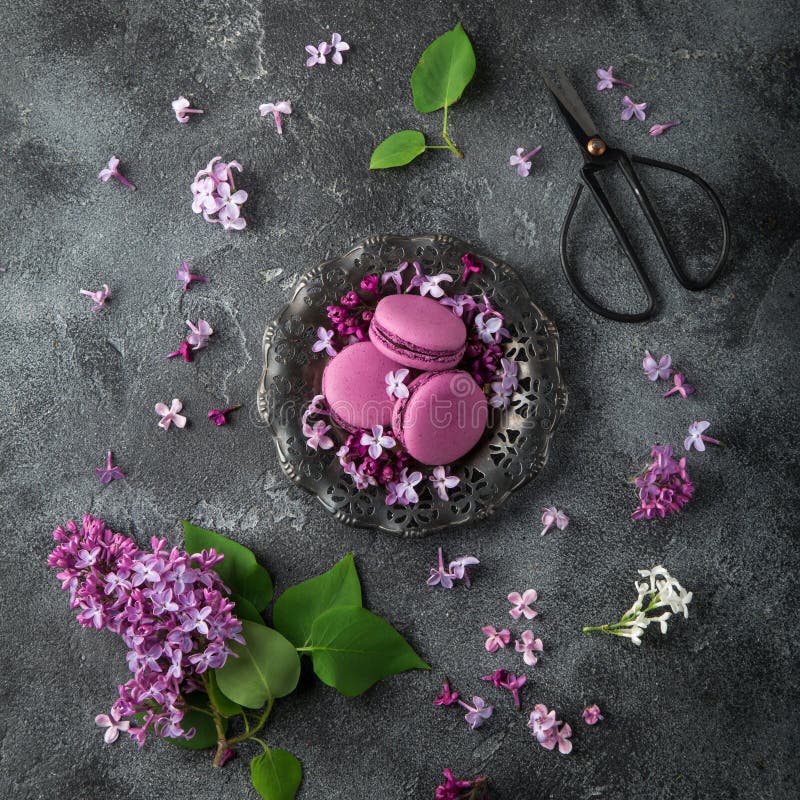 Flatlay macarons ежевики на винтажной плите и сирень цветут стоковое изображение rf