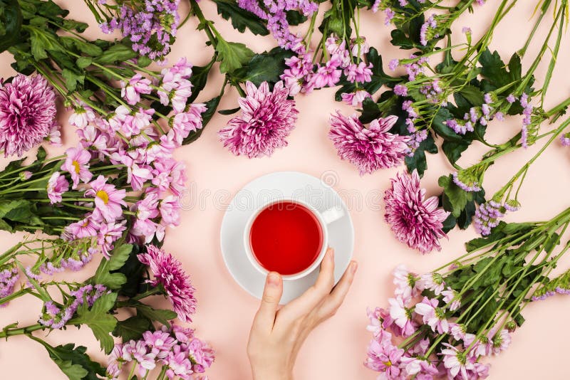 Flatlay met mooie chrysant bloeien en de vrouwen` s hand houdend een kop van hibiscusthee stock foto Flatlay met mooie chrysant bloeien en de vrouwen` s hand houdend een kop van hibiscusthee stock foto