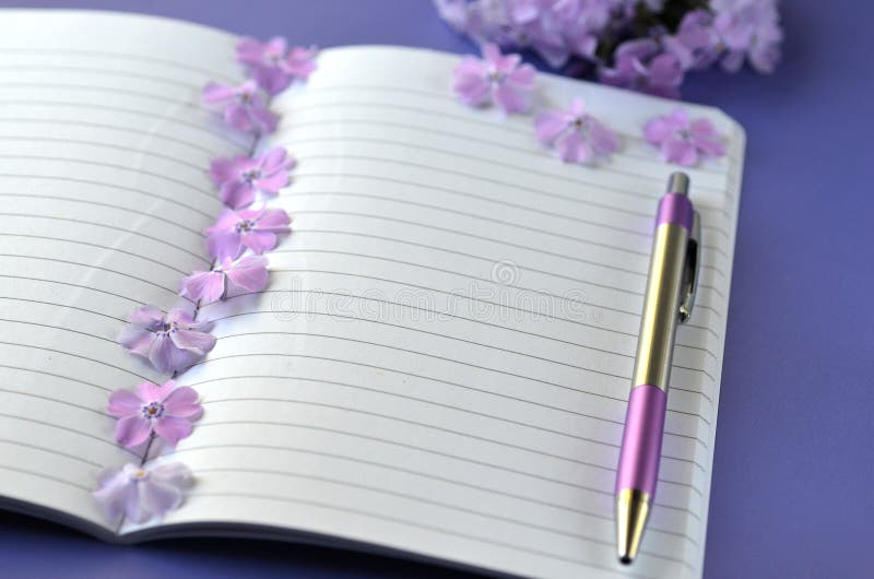 Flatlay ultra-violet du phlox féminin de papeterie, de carnet, de stylo et de lavande fleurit avec l'espace de copie photo stock Flatlay ultra-violet du phlox féminin de papeterie, de carnet, de stylo et de lavande fleurit avec l'espace de copie photo stock