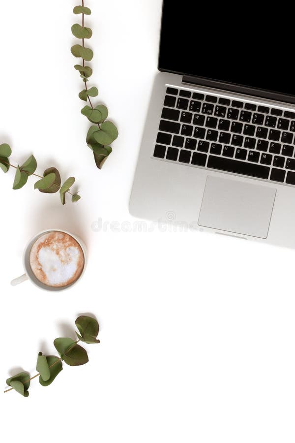 Flatlay of laptop, mug of coffee and eucalyptus branches on a white background. Feminine workspace concept. Flatlay of laptop, mug of coffee and eucalyptus branches on a white background. Feminine workspace concept.