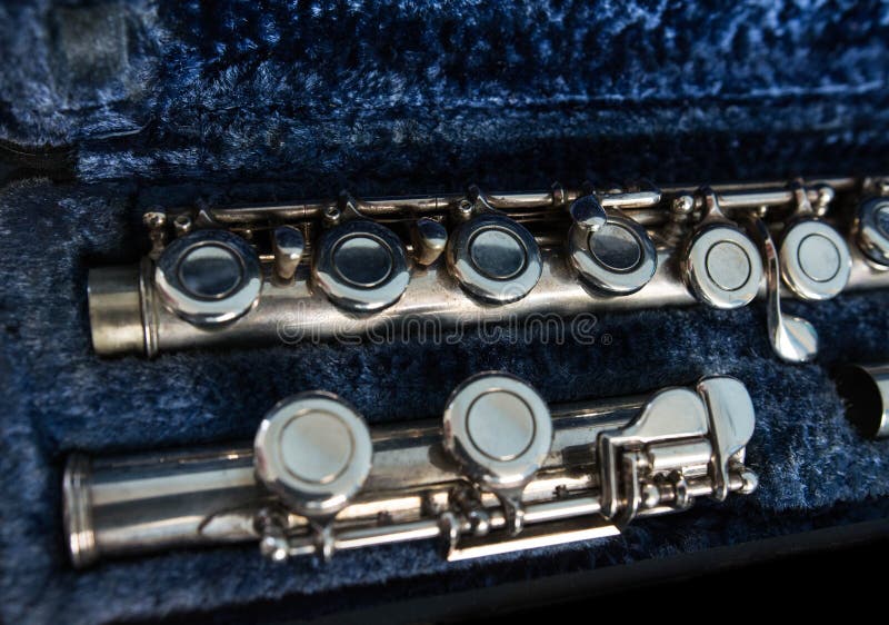 Flauta Transversal En Su Caso Foto de archivo Imagen de viento