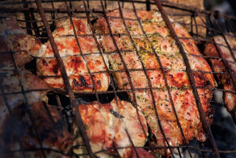 Flavorful Meat on the Grill with Smoke in Forest Stock Image Image of