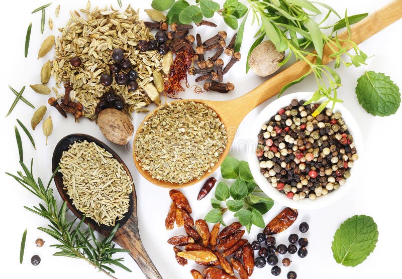 Flavoring herbs and spices on white background stock image