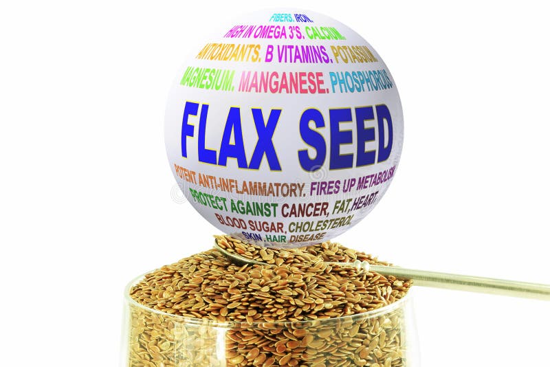 Flax Seed Related Keywords Globe with Flax Seed Stock Image Image of