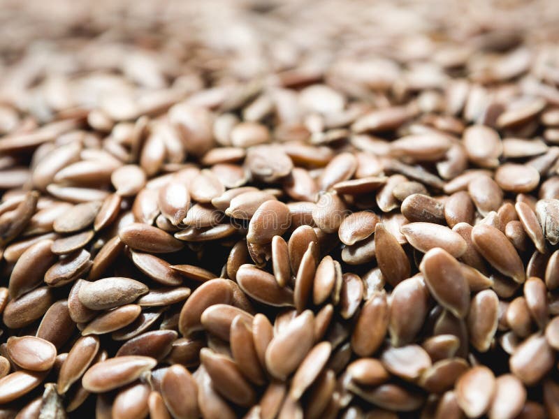 Flax seeds on linen cloth stock photo. Image of flax 147126112