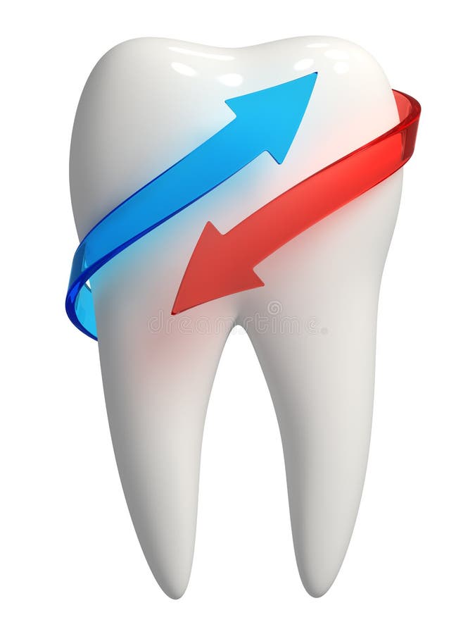 3d rendered photo-realistic white tooth with blue and red semi-transparent arrows - Isolated icon on white background. 3d rendered photo-realistic white tooth with blue and red semi-transparent arrows - Isolated icon on white background