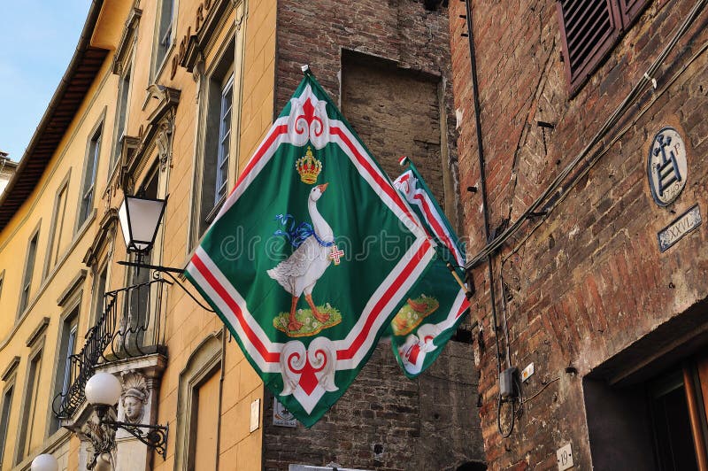 Fleg do ganso em Siena fotografia de stock royalty free Fleg do ganso em Siena fotografia de stock royalty free