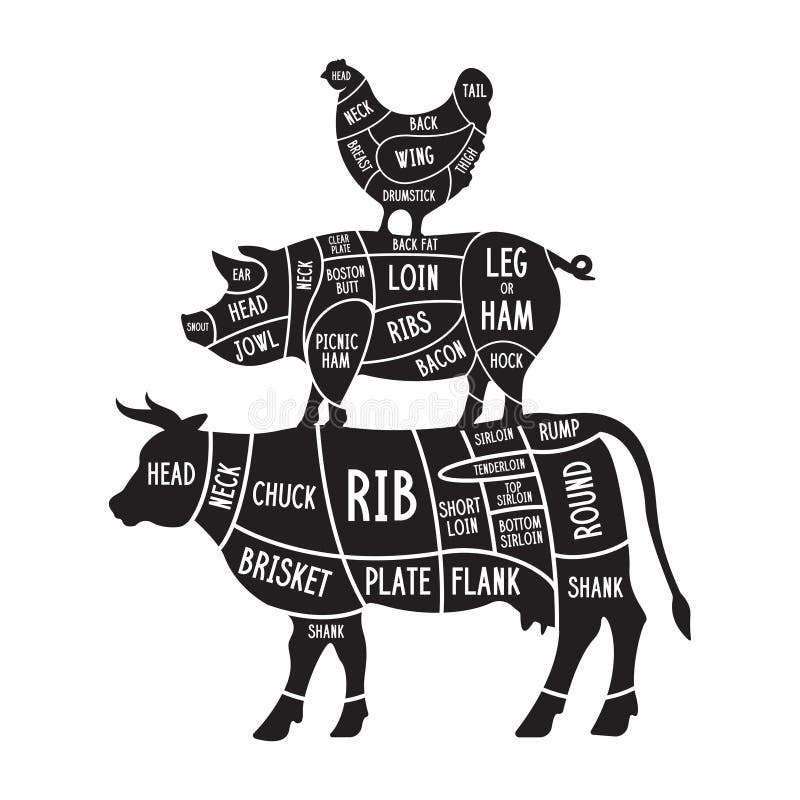 Fleischteilsatz Diagramme für die Metzgerei Regelung für Hühner, Rindfleisch, Schweinefleisch usw. Silhouetten Schneidleitfaden