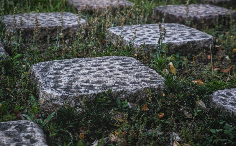 Sidelong perspective of a checkered pattern of dimpled stone tiles and square patches of grass with bits of leaf litter visible. Sidelong perspective of a checkered pattern of dimpled stone tiles and square patches of grass with bits of leaf litter visible