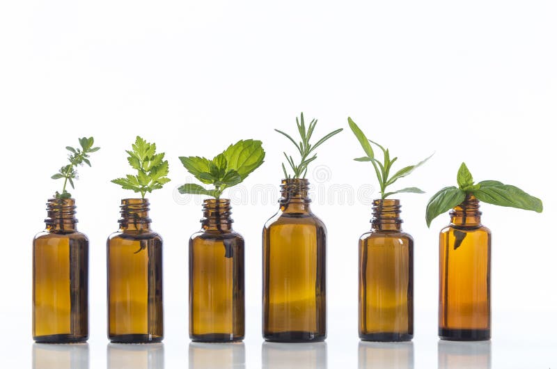 Essential oil bottle with herbs basil flower, basil flower,rosemary,oregano, sage,parsley ,thyme and mint. Essential oil bottle with herbs basil flower, basil flower,rosemary,oregano, sage,parsley ,thyme and mint