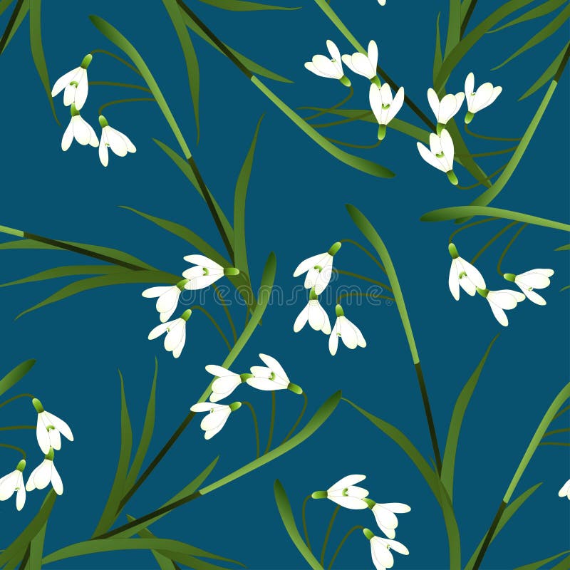 Fleur blanche de perce-neige sur le fond de bleu d'indigo Illustration de vecteur illustration stock Fleur blanche de perce-neige sur le fond de bleu d'indigo Illustration de vecteur illustration stock
