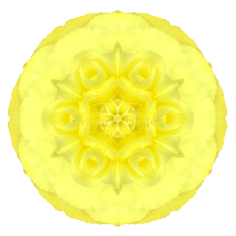 Fleur concentrique jaune d'oeillet d'isolement sur le blanc. Mandala Design illustration de vecteur Fleur concentrique jaune d'oeillet d'isolement sur le blanc. Mandala Design illustration de vecteur