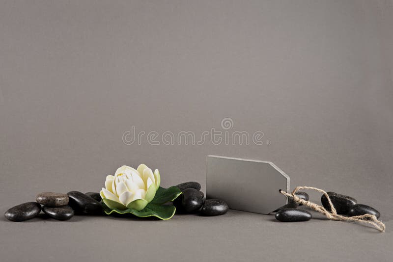 Fleur de bien-être et romantique photographie stock Fleur de bien-être et romantique photographie stock