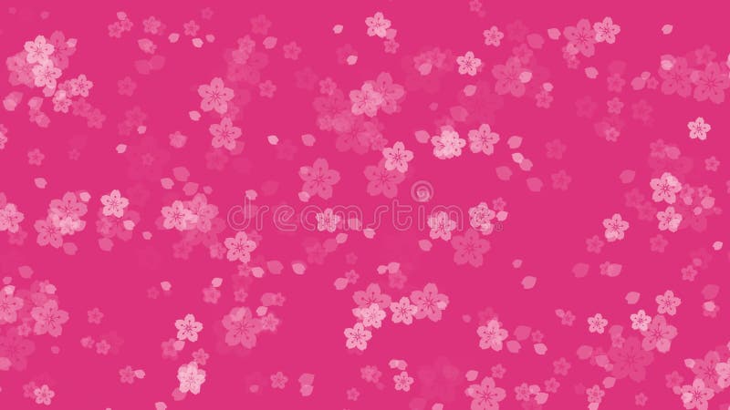 Fleur de cerisier de sakura abstraite sur fond rose illustration stock
