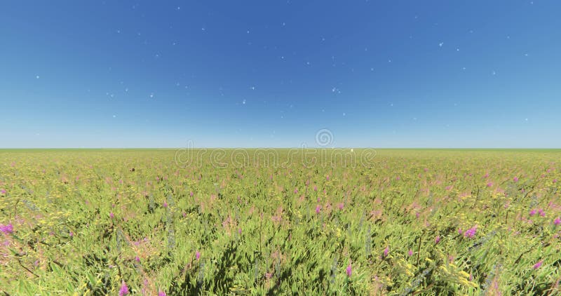 fleur et herbe de la couleur 4k en vent, paysage naturel, pissenlit de flotteur, ciel bleu