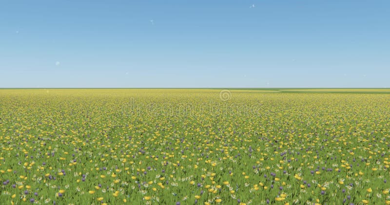 fleur et herbe de la couleur 4k en vent, paysage naturel, pissenlit flottant dans le plein vol