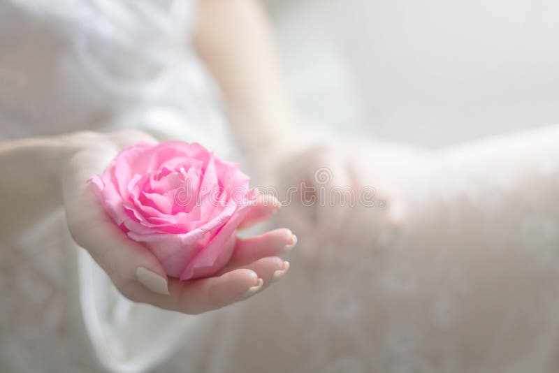 Fleur innocente dans des mains féminines douces Copiez l'espace photos stock Fleur innocente dans des mains féminines douces Copiez l'espace photos stock