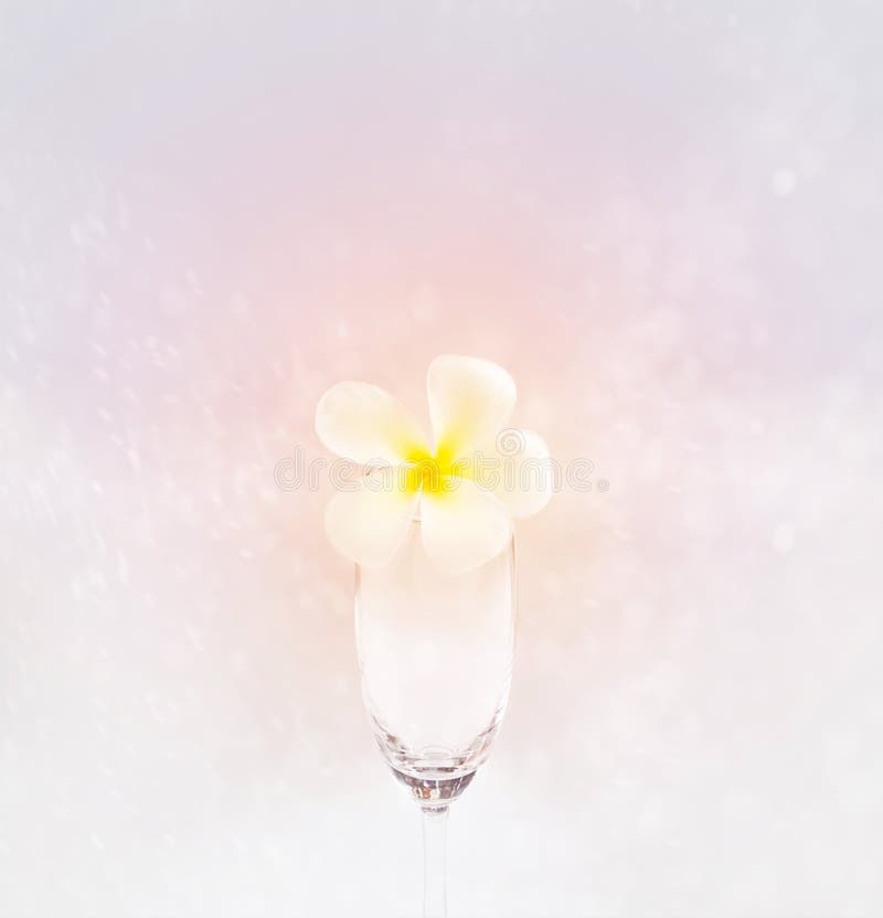 Fleur molle abstraite en verre sur le fond rose doux, foyer mou photo libre de droits Fleur molle abstraite en verre sur le fond rose doux, foyer mou photo libre de droits