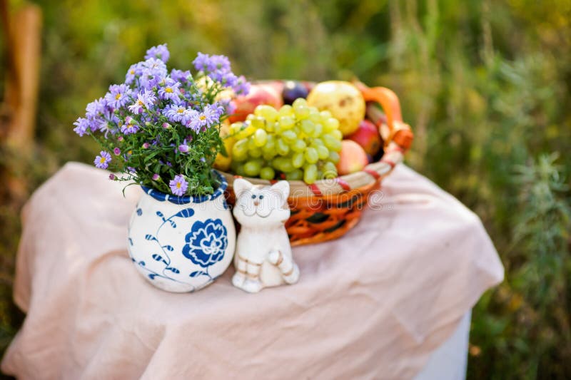 Fleur pourpre, une corbeille de fruits et chat photo stock Fleur pourpre, une corbeille de fruits et chat photo stock