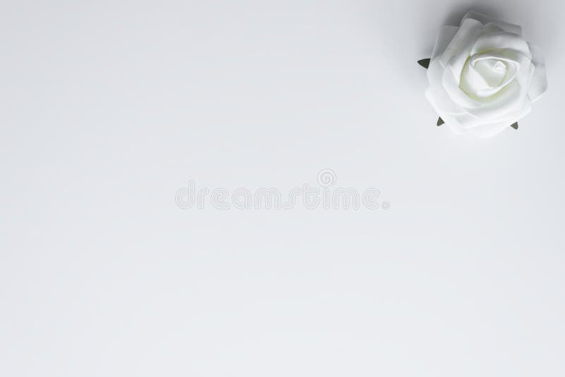 Bouquet De Roses Dans La Couleur De Rose Et Blanche En Tant Que Decoration De Fleurs De Jour De Valentines Avec L Espace De Copi Photo Stock Image Du Fond Nature