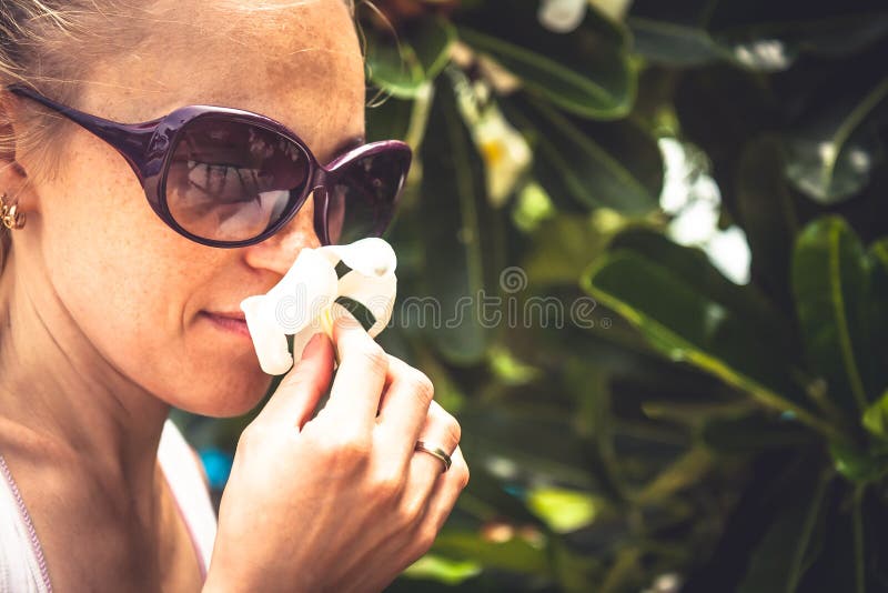 Fleur sentante de femme l'accrochant dans des mains photographie stock libre de droits Fleur sentante de femme l'accrochant dans des mains photographie stock libre de droits