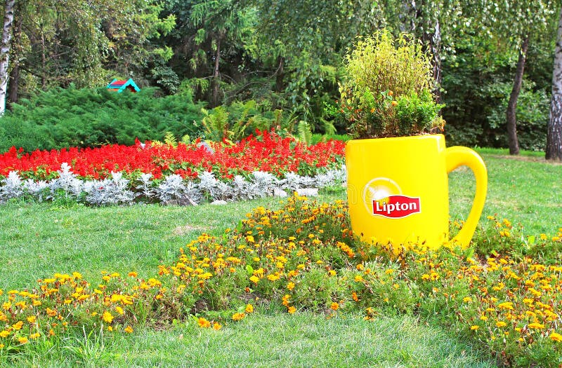 Fleurissez la composition avec la tasse de Lipton sur le pays traditionnel annuel de l'exposition une de 59 fleurs, kyiv, Ukraine photos libres de droits Fleurissez la composition avec la tasse de Lipton sur le pays traditionnel annuel de l'exposition une de 59 fleurs, kyiv, Ukraine photos libres de droits