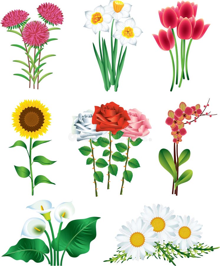 Fleurit l'ensemble réaliste de photo illustration libre de droits Fleurit l'ensemble réaliste de photo illustration libre de droits