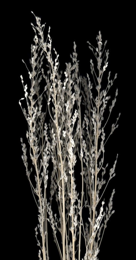 Fleurs photos libres de droits