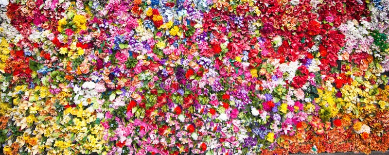  Fleurs photographie stock