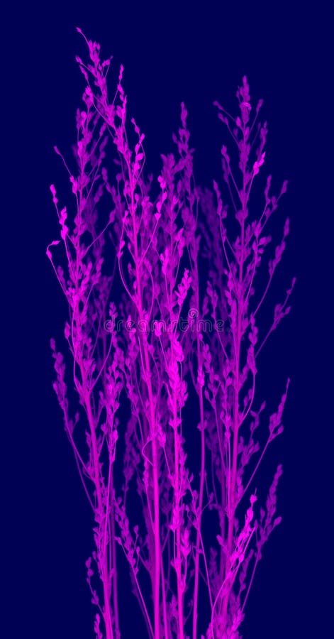Fleurs illustration stock