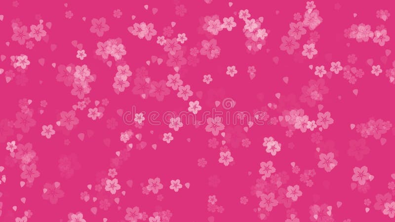 Fleurs abstraites de cerisier tombant sur fond rose illustration stock