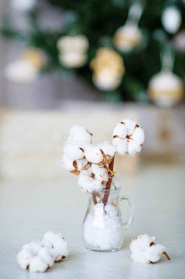 Délicates fleurs de coton blanc images libres de droits