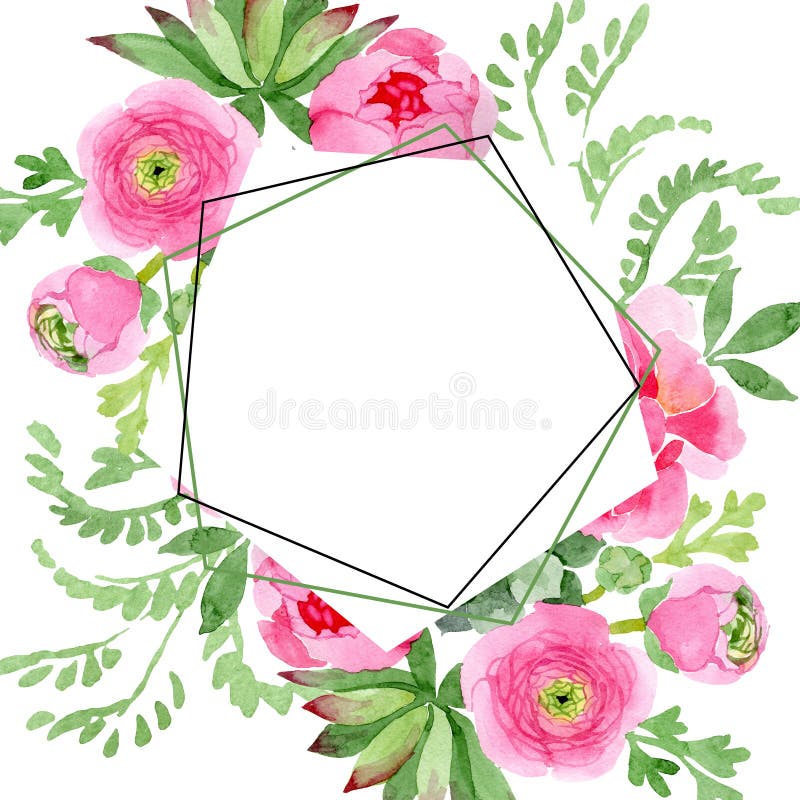 Fleurs botaniques florales de ranunculus de rose Ensemble d'illustration de fond d'aquarelle Place d'ornement de frontière de vue illustration de vecteur Fleurs botaniques florales de ranunculus de rose Ensemble d'illustration de fond d'aquarelle Place d'ornement de frontière de vue illustration de vecteur
