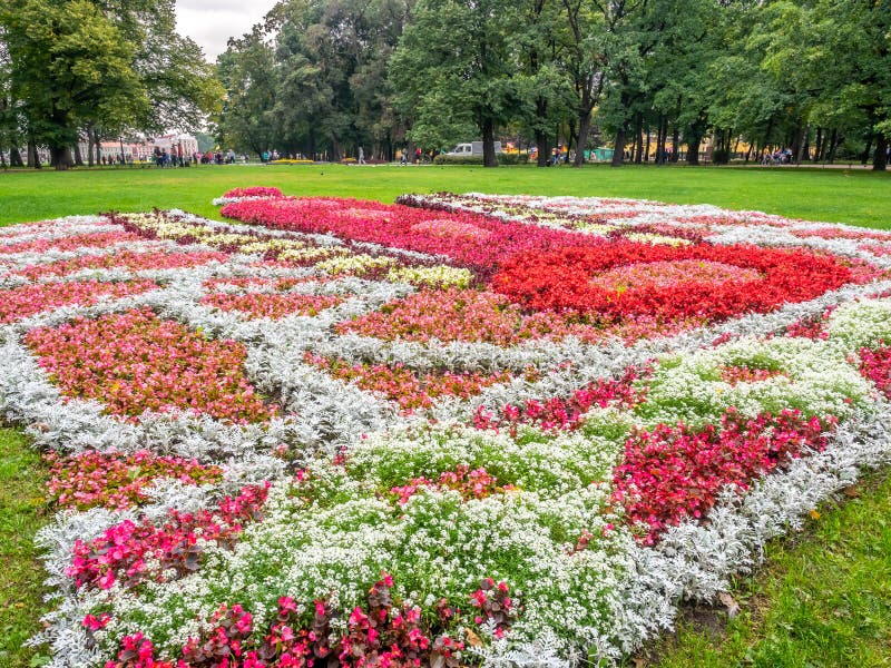 Fleurs color? es en stationnement photographie stock libre de droits