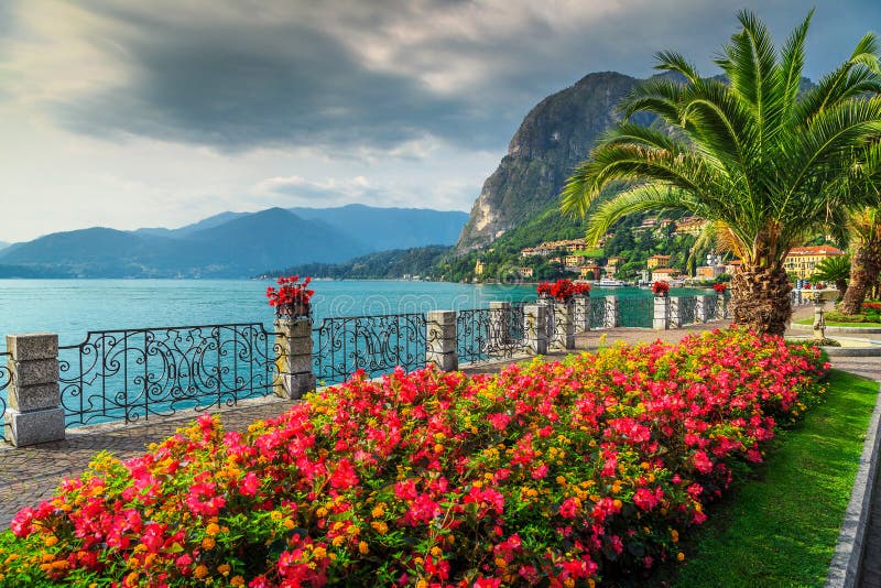 Wonderful promenade with colorful flowers in public park and palm trees on the shore, Lake Como, Lombardy region, Northern Italy, Europe. Wonderful promenade with colorful flowers in public park and palm trees on the shore, Lake Como, Lombardy region, Northern Italy, Europe