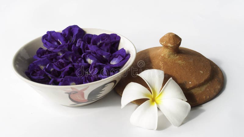 Download Fleurs dans la tasse photo stock. Image du argile, home - 45367504