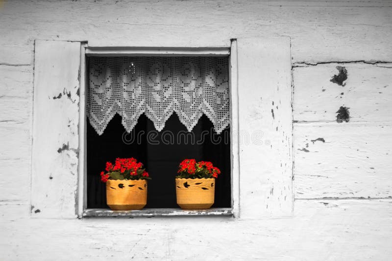 Two jugs with red flowers in the window of an old house, now a museum in the city of Curitiba, Brazil. Two jugs with red flowers in the window of an old house, now a museum in the city of Curitiba, Brazil.