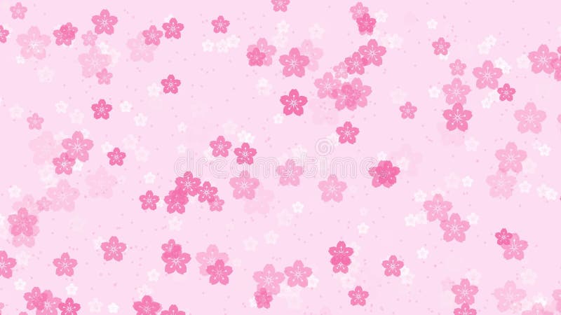 Fleurs de cerisier de sakura tombant sur fond rose illustration libre de droits