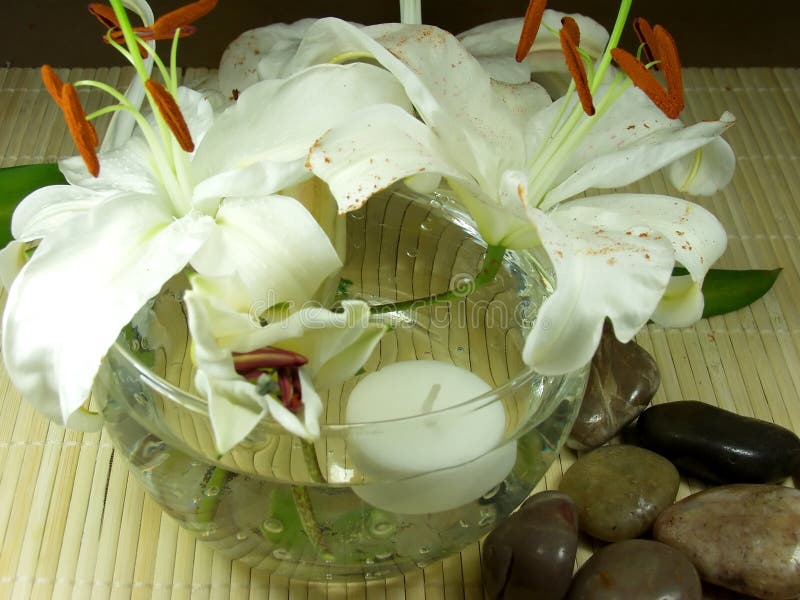 Fleurs de Feng images stock Fleurs de Feng images stock