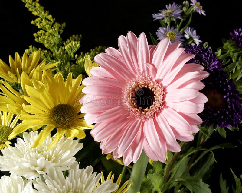 Fleurs de floraison de bouqet d'agencements photo libre de droits Fleurs de floraison de bouqet d'agencements photo libre de droits