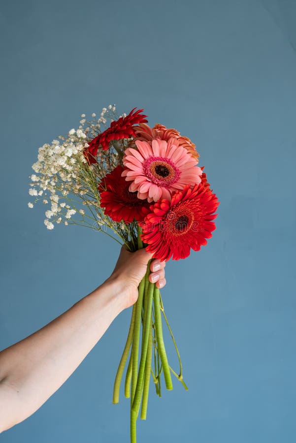 63 936 Fleurs De Joyeux Anniversaire Photos Libres De Droits Et Gratuites De Dreamstime