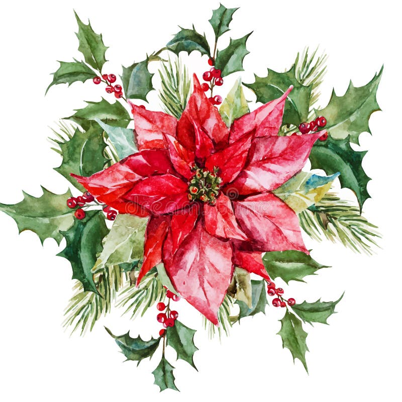 Fleurs de Noël d'aquarelle illustration stock Fleurs de Noël d'aquarelle illustration stock