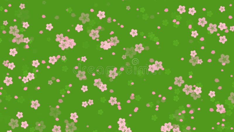 Fleurs de sakura rose tombant sur fond vert illustration libre de droits