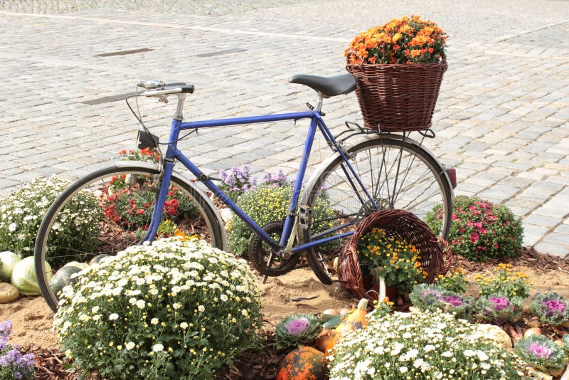 vieille bicyclette fleurie