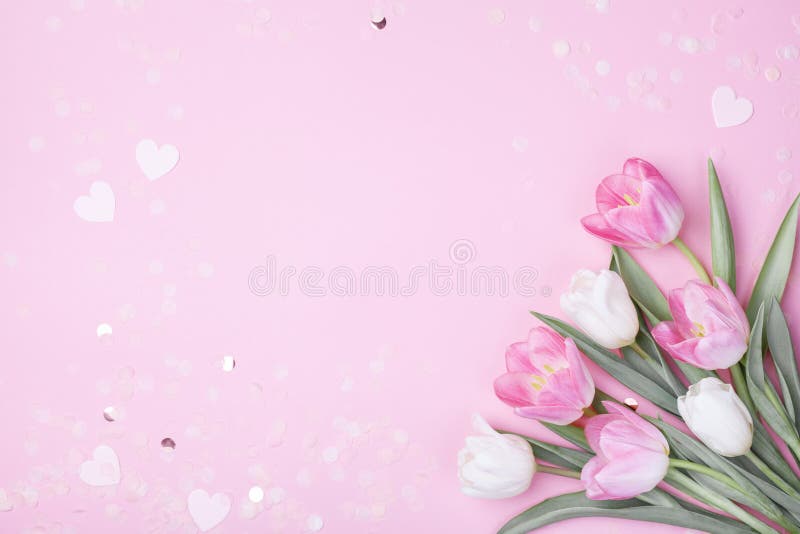 Fleurs de tulipe de ressort sur la vue supérieure rose en pastel de fond Carte de voeux pour les femmes internationales jour, fêt