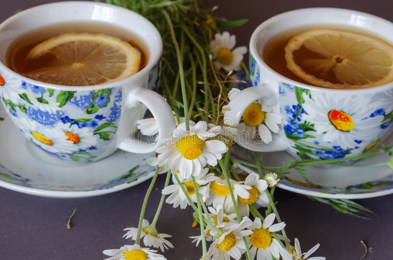 Flowers and two cups of tea with lemon on a gray background. Small field daisies. Ceramic tableware decorated with camomiles. Side view from an angle. Flowers and two cups of tea with lemon on a gray background. Small field daisies. Ceramic tableware decorated with camomiles. Side view from an angle